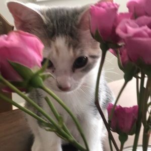 Meet your Posher, Maria